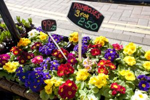 market harborough 5 sm - Copy.jpg